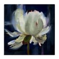 thumbnail image 1 of Stupell Industries Modern Abstract Painted Flower Canvas Art, 30 x 30, by Liz Jardine, 1 of 8