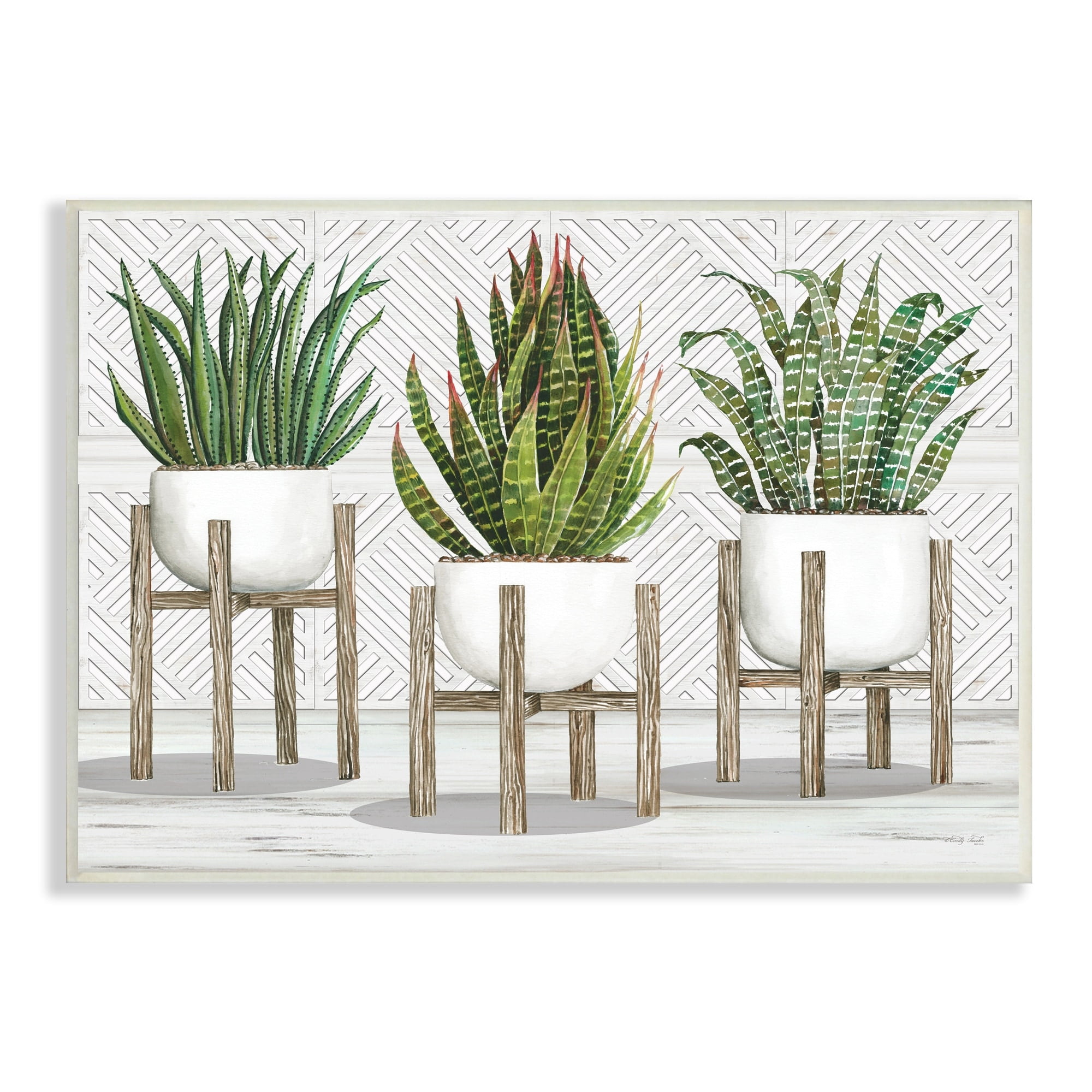 Stupell Industries Modern Aloe Plant Trio Living Room Still Life, 19 x 13,Design by Cindy Jacobs