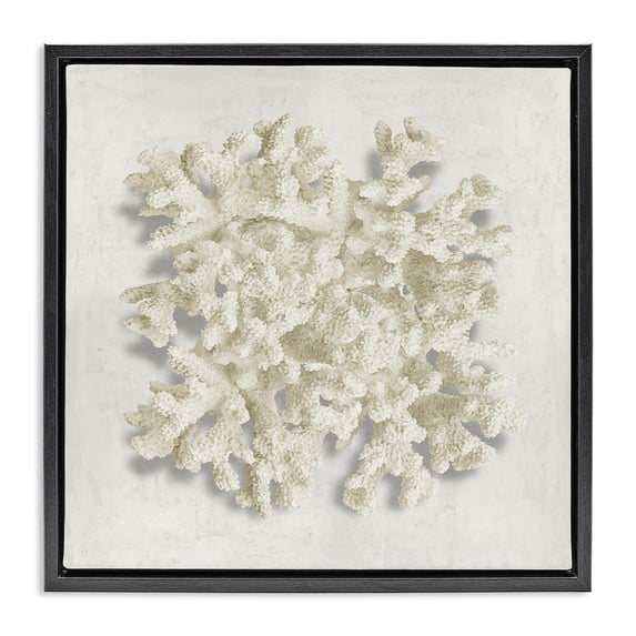 Stupell Industries Modern Aquatic Neutral Coral Black Floating Frame Canvas Art, 18 x 18, by Caroline Kelly