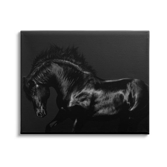 Stupell Industries Modern Black Horse Photography Wild Stallion Monochromatic, 20 x 16,Design by Samantha Carter