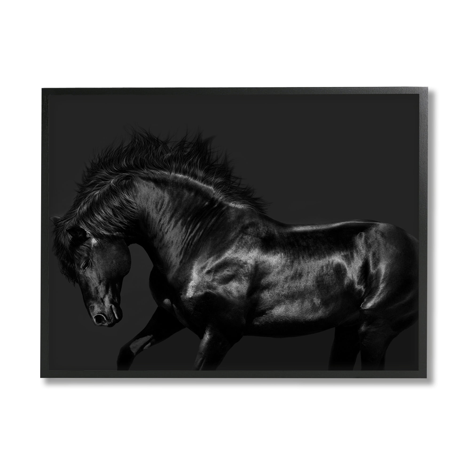 Stupell Industries Modern Black Horse Photography Wild Stallion Monochromatic, 20 x 16,Design by Samantha Carter