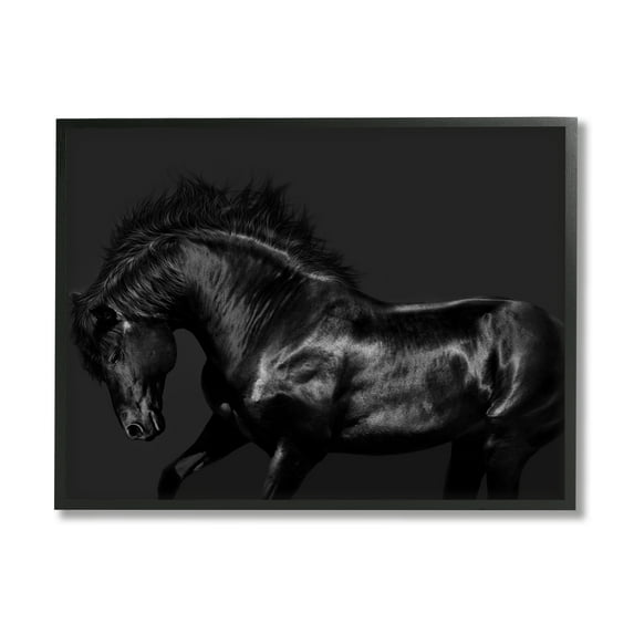 Stupell Industries Modern Black Horse Photography Wild Stallion Monochromatic, 30 x 24,Design by Samantha Carter