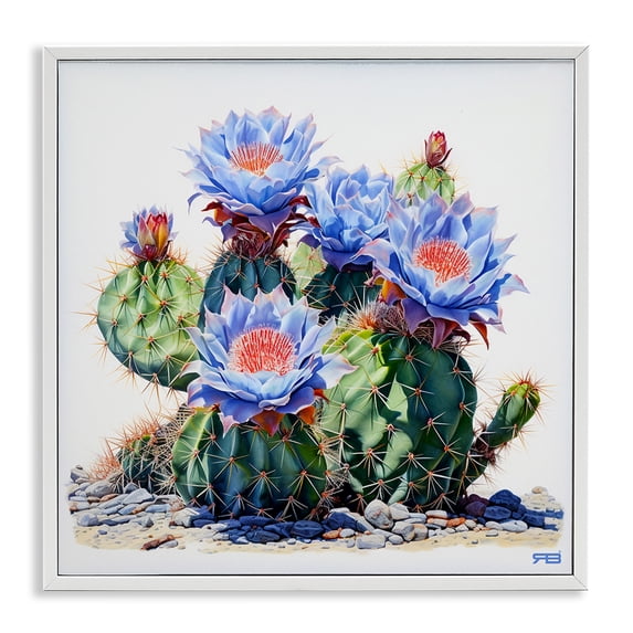 Stupell Industries Modern Blue Cactus Blossoms White Framed Giclee Art, 12 x 12, by RB