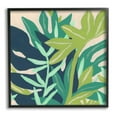 thumbnail image 1 of Stupell Industries Modern Botanical Plant Leaves Painting Black Framed Art Print Wall Art, Design by June Erica Vess, 1 of 7