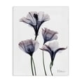 thumbnail image 1 of Stupell Industries Modern Bountiful Dusk Flowers Canvas Art, 24 x 30, by Albert Koetsier, 1 of 7