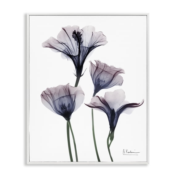 Stupell Industries Modern Bountiful Dusk Flowers White Framed Giclee Art, 16 x 20, by Albert Koetsier