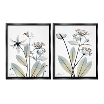 Stupell Industries Modern Budding Blooms Botanical & Floral Photography Black Floater Framed Canvas Art Print Wall Art, 17 x 21, Set of 2