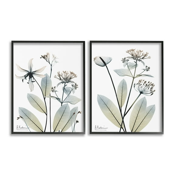 Stupell Industries Modern Budding Blooms Botanical & Floral Photography Black Framed Art Print Wall Art, 11 x 14, Set of 2