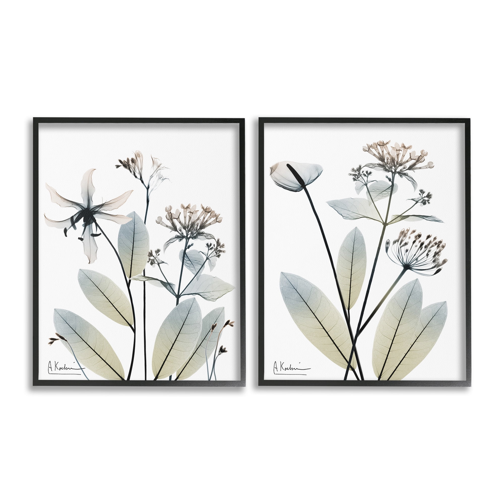 Stupell Industries Modern Budding Blooms Botanical & Floral Photography Black Framed Art Print Wall Art, 24 x 30, Set of 2