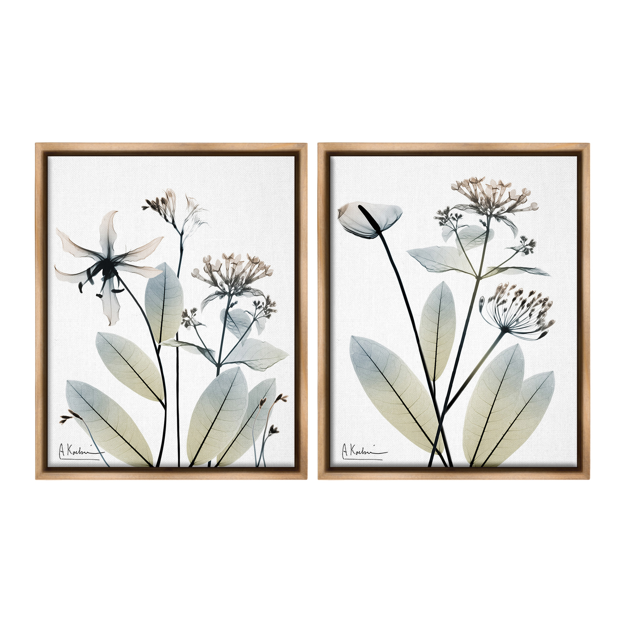 Stupell Industries Modern Budding Blooms Botanical & Floral Photography Brown Floater Framed Canvas Art Print Wall Art, 25 x 31, Set of 2