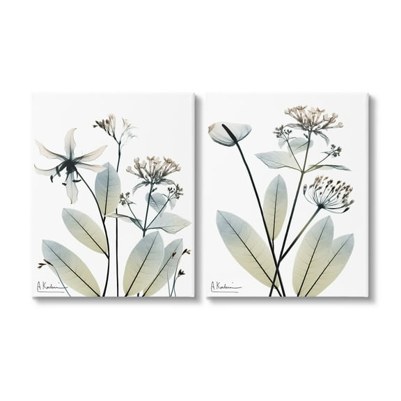Stupell Industries Modern Budding Blooms Botanical & Floral Photography Gallery Wrapped Canvas Art Print Wall Art, 16 x 20, Set of 2