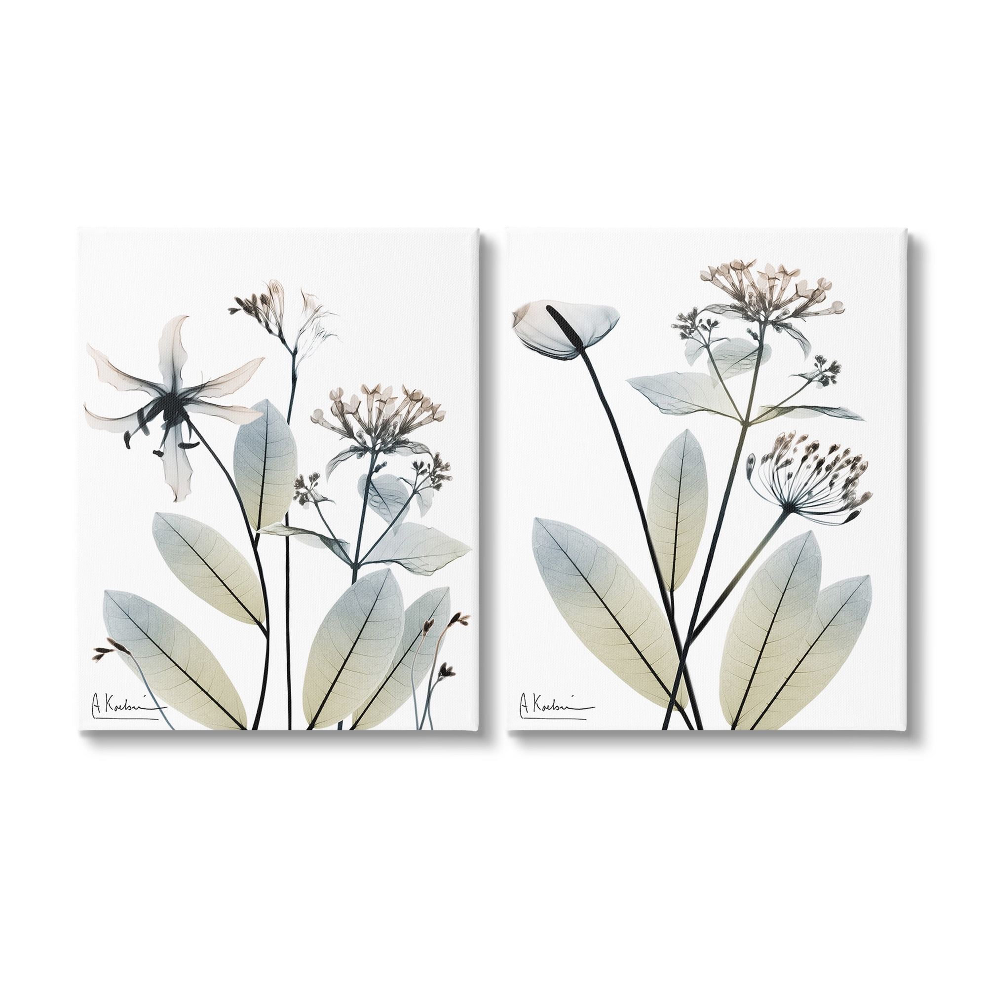 Stupell Industries Modern Budding Blooms Botanical & Floral Photography Gallery Wrapped Canvas Art Print Wall Art, 24 x 30, Set of 2