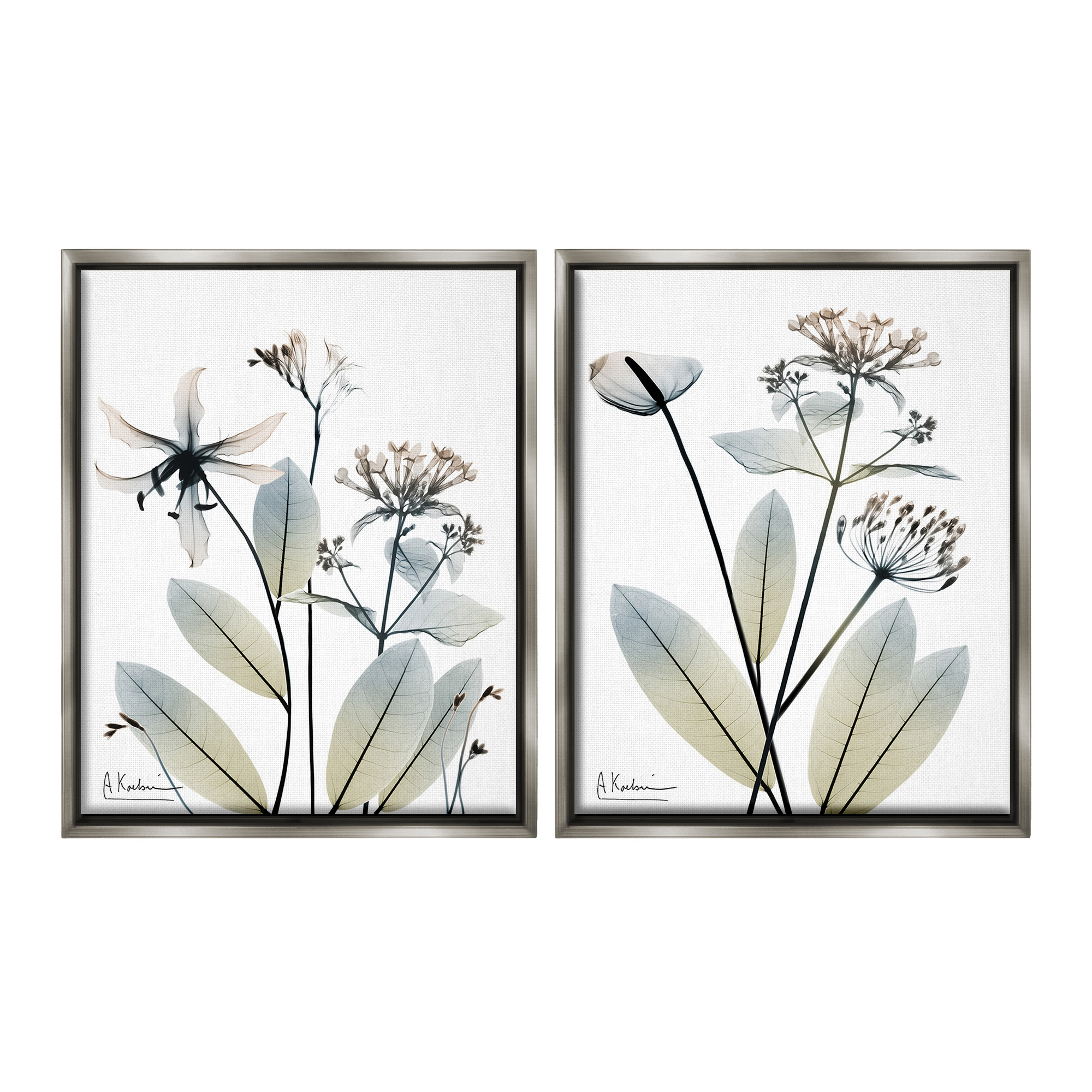 Stupell Industries Modern Budding Blooms Botanical & Floral Photography Gray Floater Framed Canvas Art Print Wall Art, 25 x 31, Set of 2