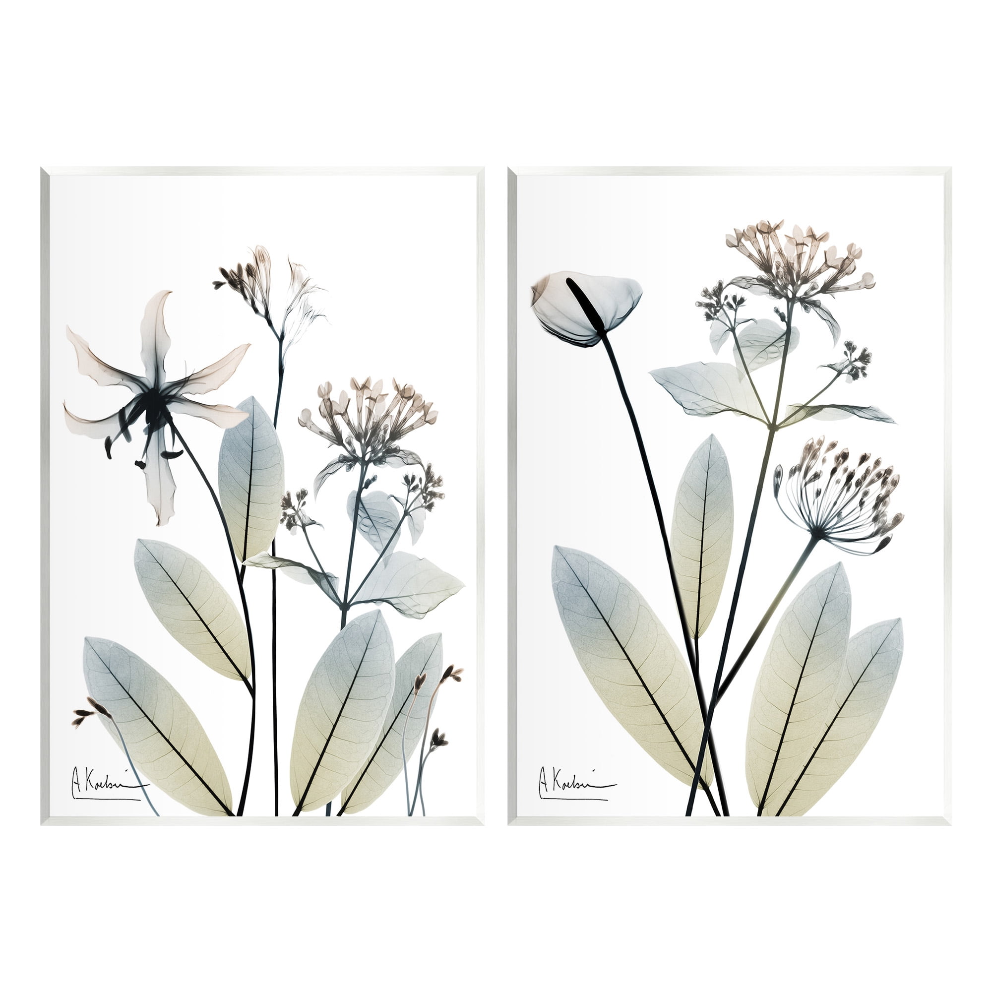 Stupell Industries Modern Budding Blooms Botanical & Floral Photography Unframed Art Print Wall Art, 13 x 19, Set of 2