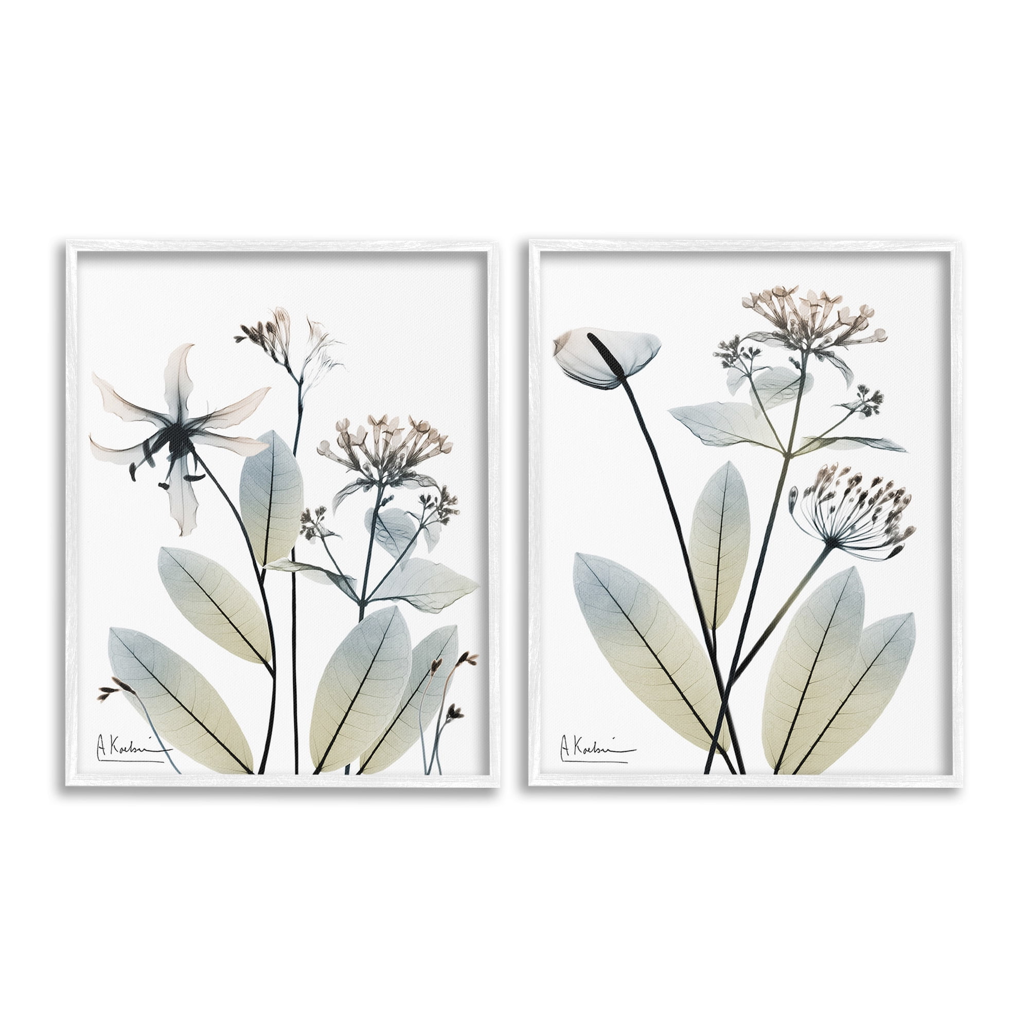Stupell Industries Modern Budding Blooms Botanical & Floral Photography White Framed Art Print Wall Art, 24 x 30, Set of 2