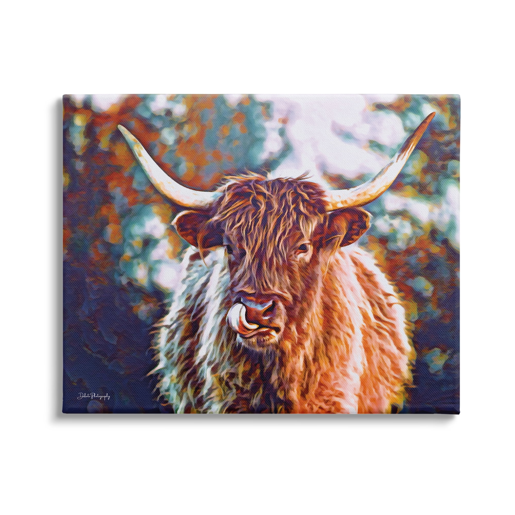 Stupell Industries Modern Cattle Portrait Animals & Insects Photography Gallery Wrapped Canvas Print Wall Art, 30 x 24