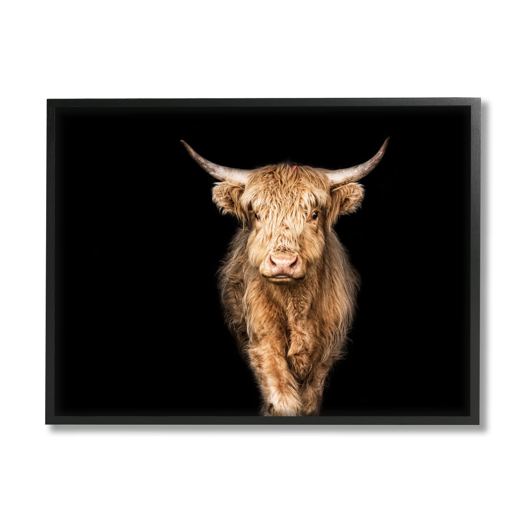 Stupell Industries Modern Cattle Portrait Minimal Farm Animal Animals & Insects Photography Black Framed Art Print Wall Art, 11 x 14