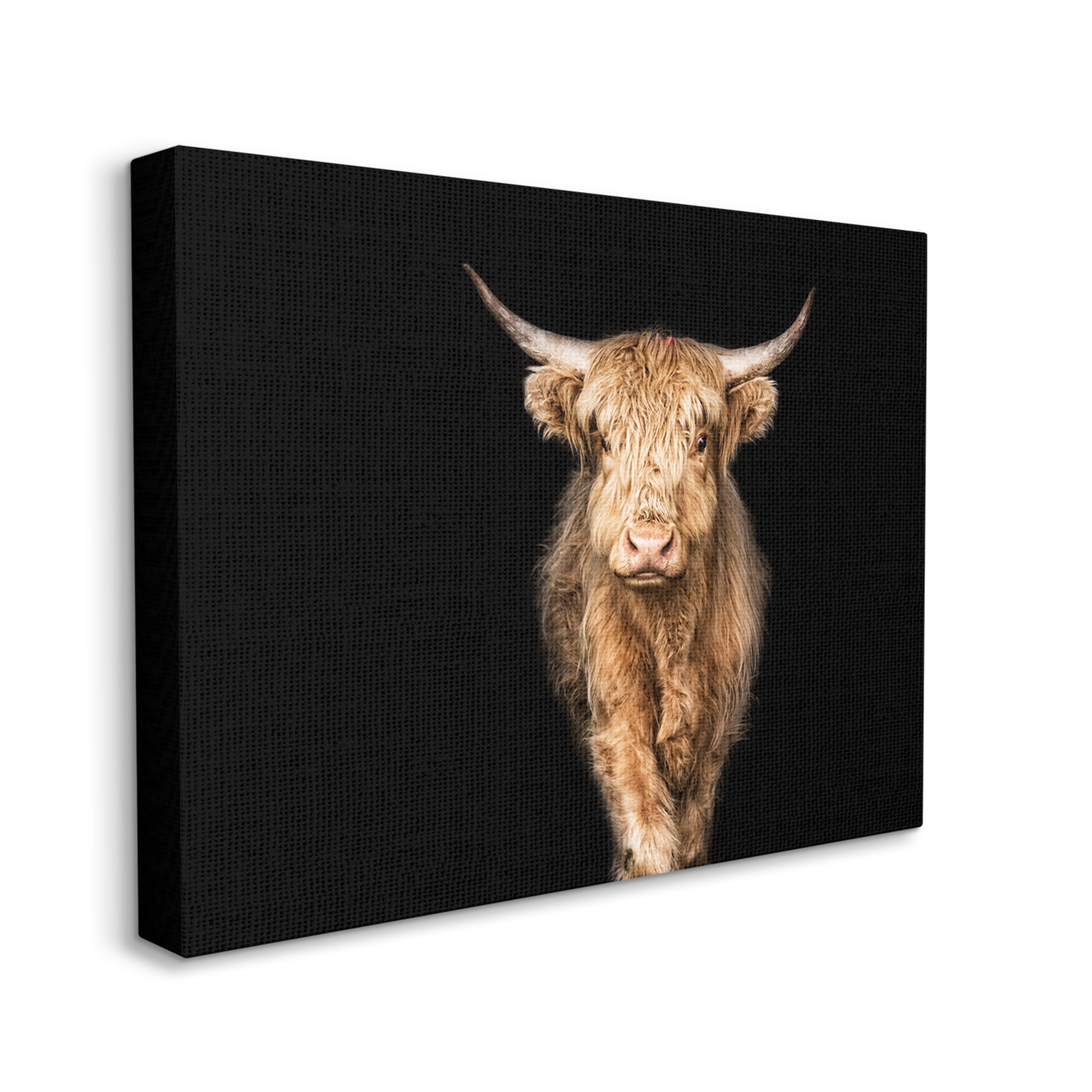 Stupell Industries Modern Cattle Portrait Minimal Farm Animal Animals & Insects Photography Gallery Wrapped Canvas Print Wall Art, 30 x 40