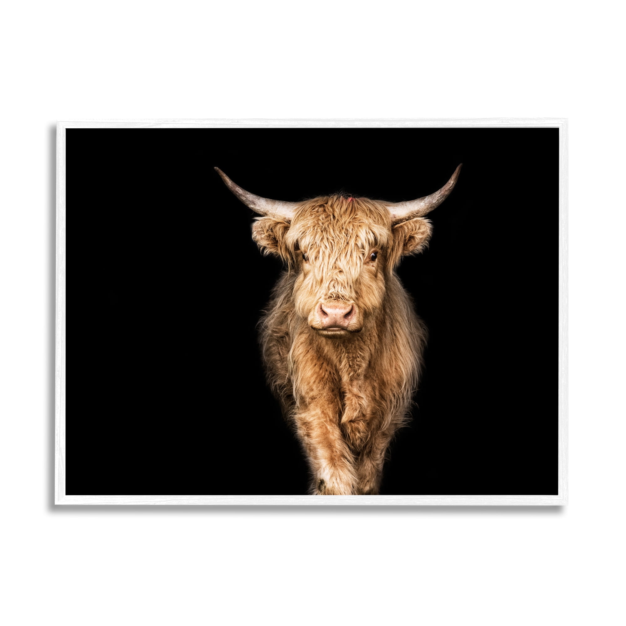 Stupell Industries Modern Cattle Portrait Minimal Farm Animal Photography, 11 x 14, Design by Marika Moffit
