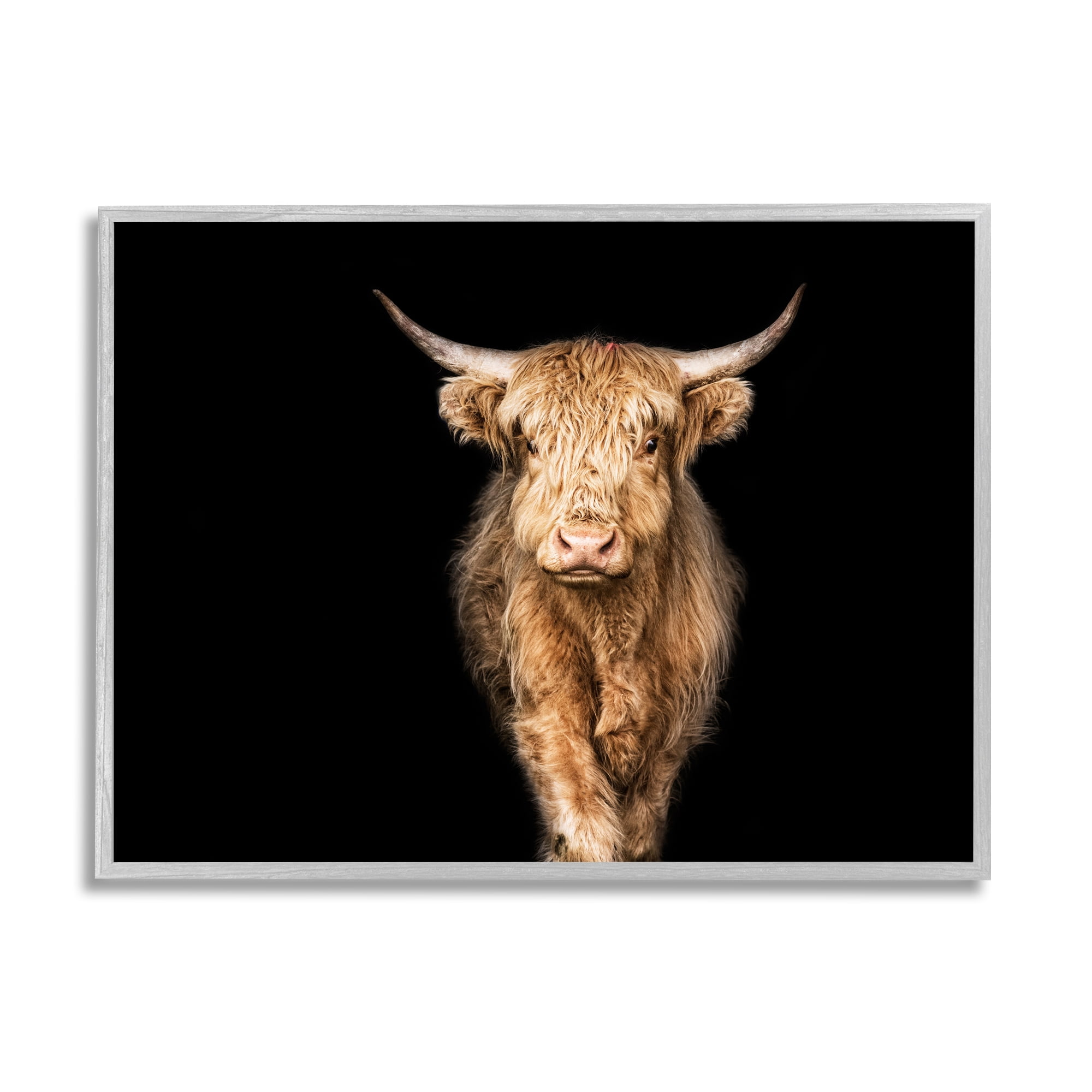 Stupell Industries Modern Cattle Portrait Minimal Farm Animal Photography, 11 x 14, Design by Marika Moffit