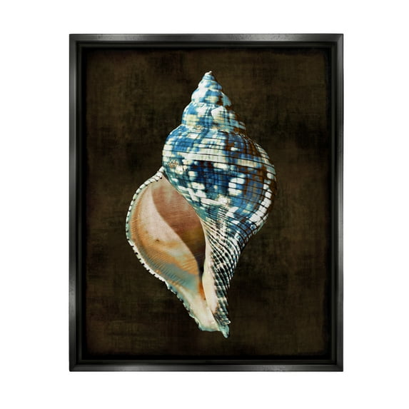 Stupell Industries Modern Conch Shell Nature Painting Black Floater Framed Art Print Wall Art, 17 x 21