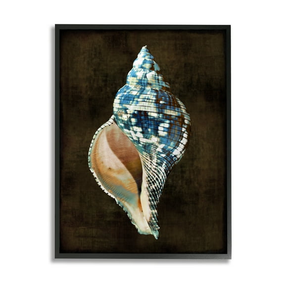 Stupell Industries Modern Conch Shell Nature Painting Black Framed Art Print Wall Art, 11 x 14