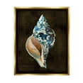 thumbnail image 1 of Stupell Industries Modern Conch Shell Nature Painting Gold Floater Framed Art Print Wall Art, 25 x 31, 1 of 10