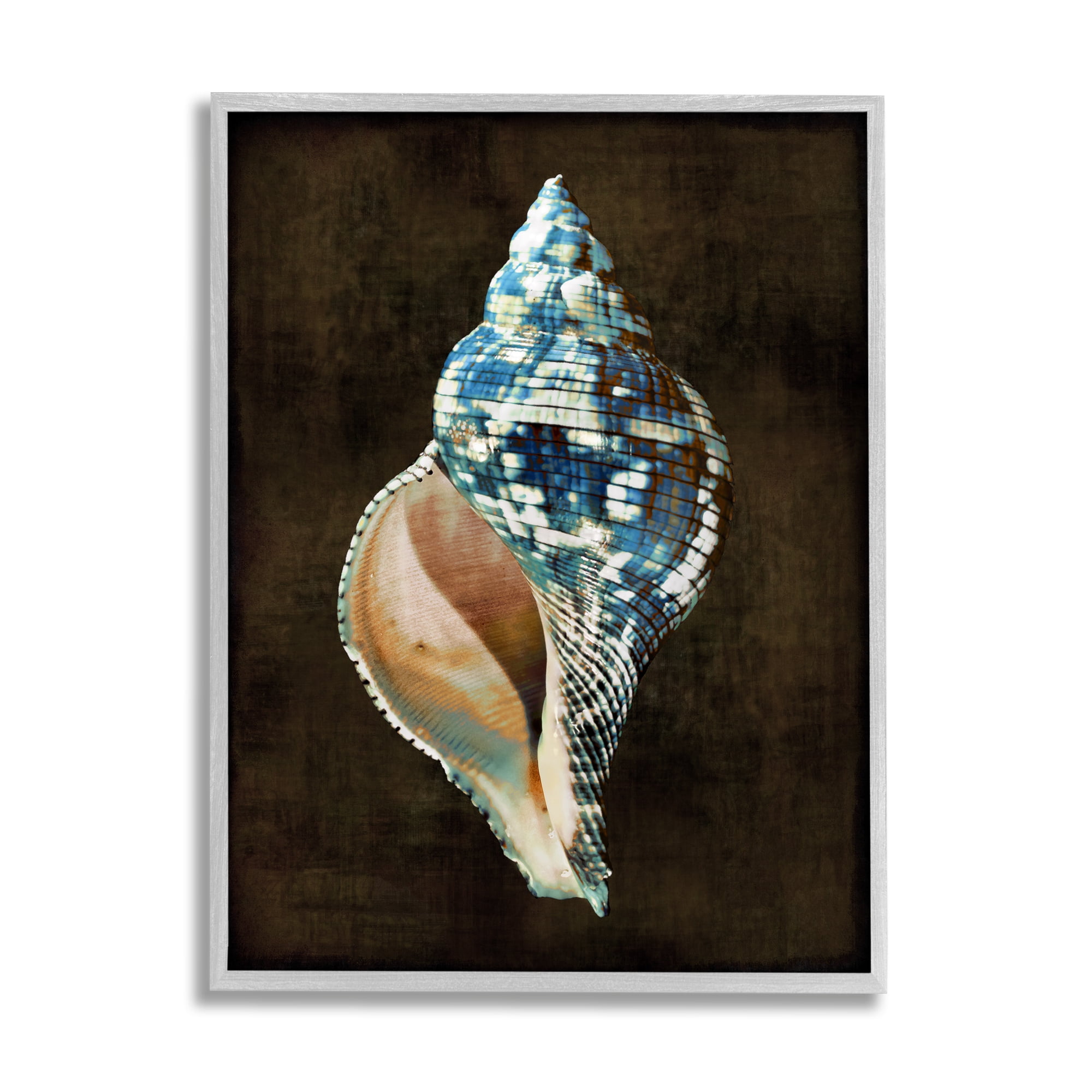 Stupell Industries Modern Conch Shell Nature Painting Gray Framed Art Print Wall Art, 16 x 20
