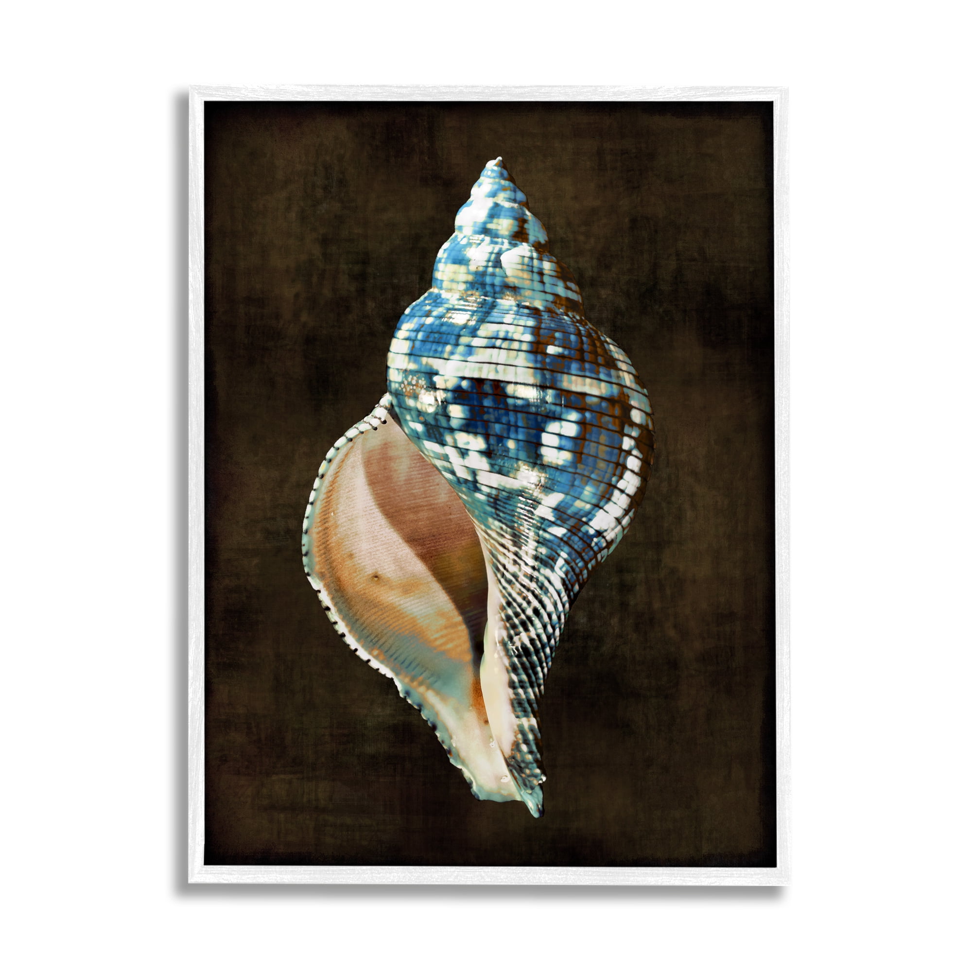 Stupell Industries Modern Conch Shell Nature Painting White Framed Art Print Wall Art, 16 x 20