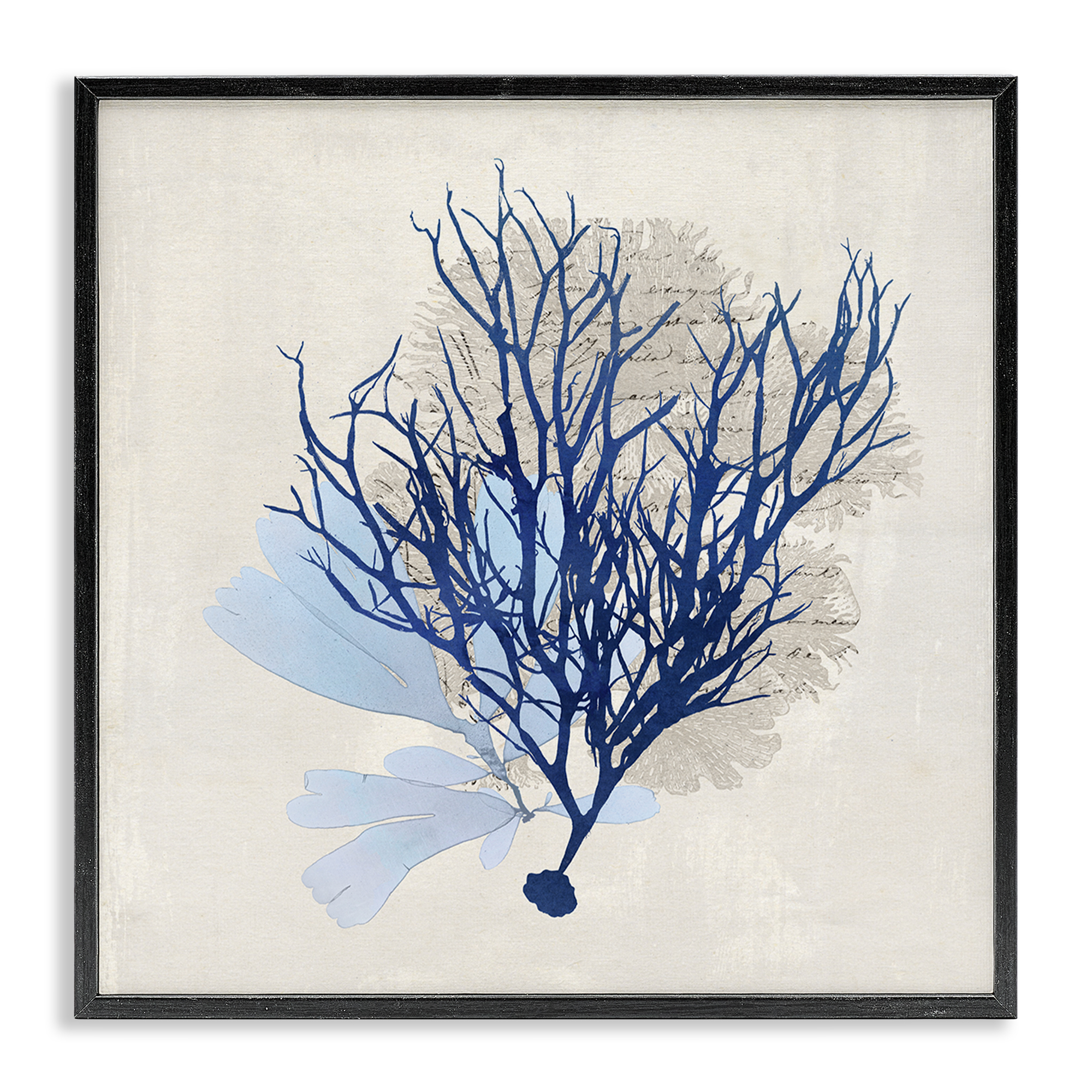 Stupell Industries Modern Coral Branch Nautical & Beach Painting Black Framed Art Print Wall Art, 12 x 12