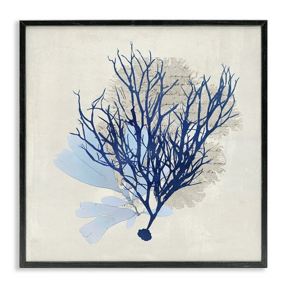 Stupell Industries Modern Coral Branch Nautical & Beach Painting Black Framed Art Print Wall Art, 12 x 12
