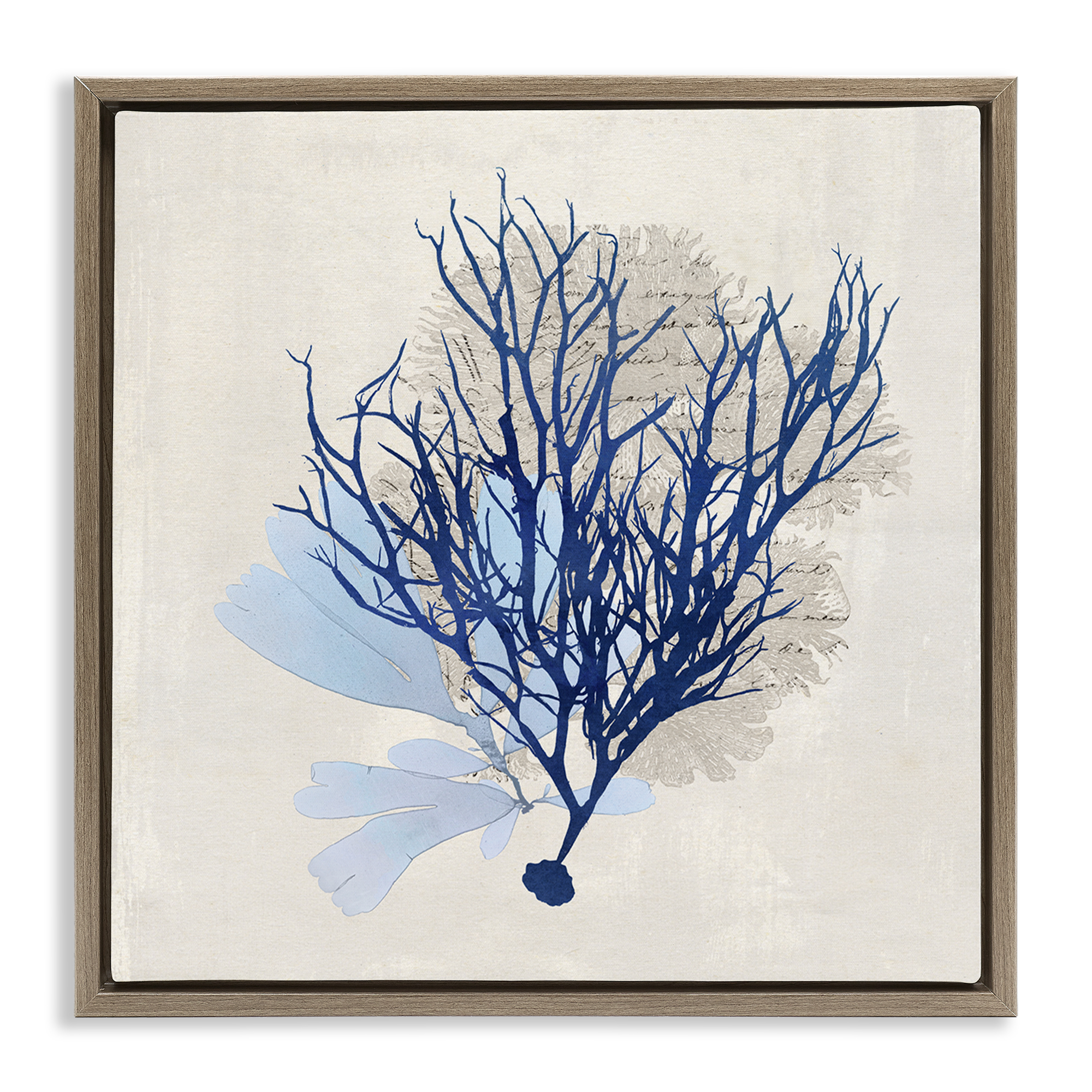 Stupell Industries Modern Coral Branch Nautical & Beach Painting Brown Floater Framed Canvas Art Print Wall Art, 25 x 25