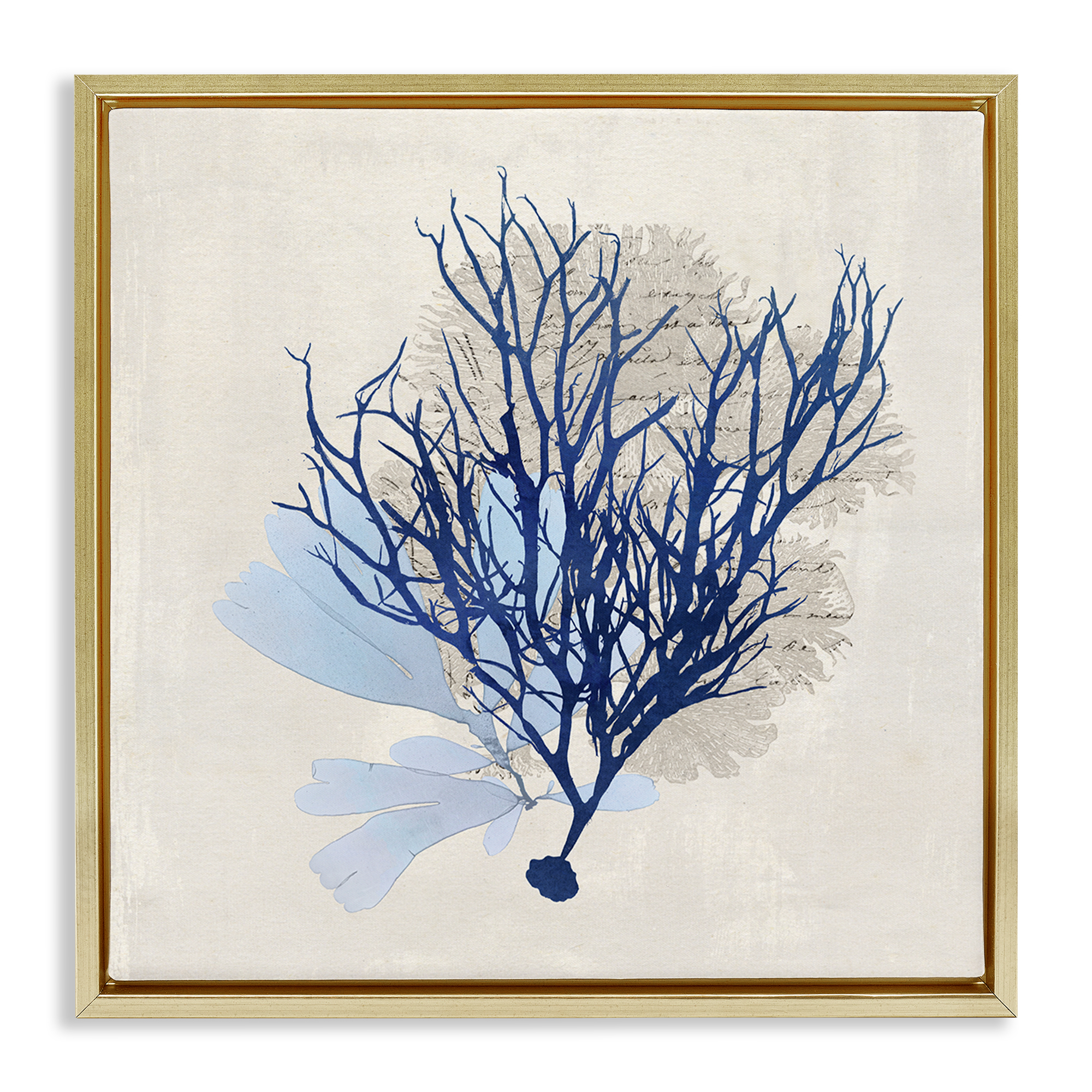 Stupell Industries Modern Coral Branch Nautical & Beach Painting Gold Floater Framed Canvas Art Print Wall Art, 25 x 25