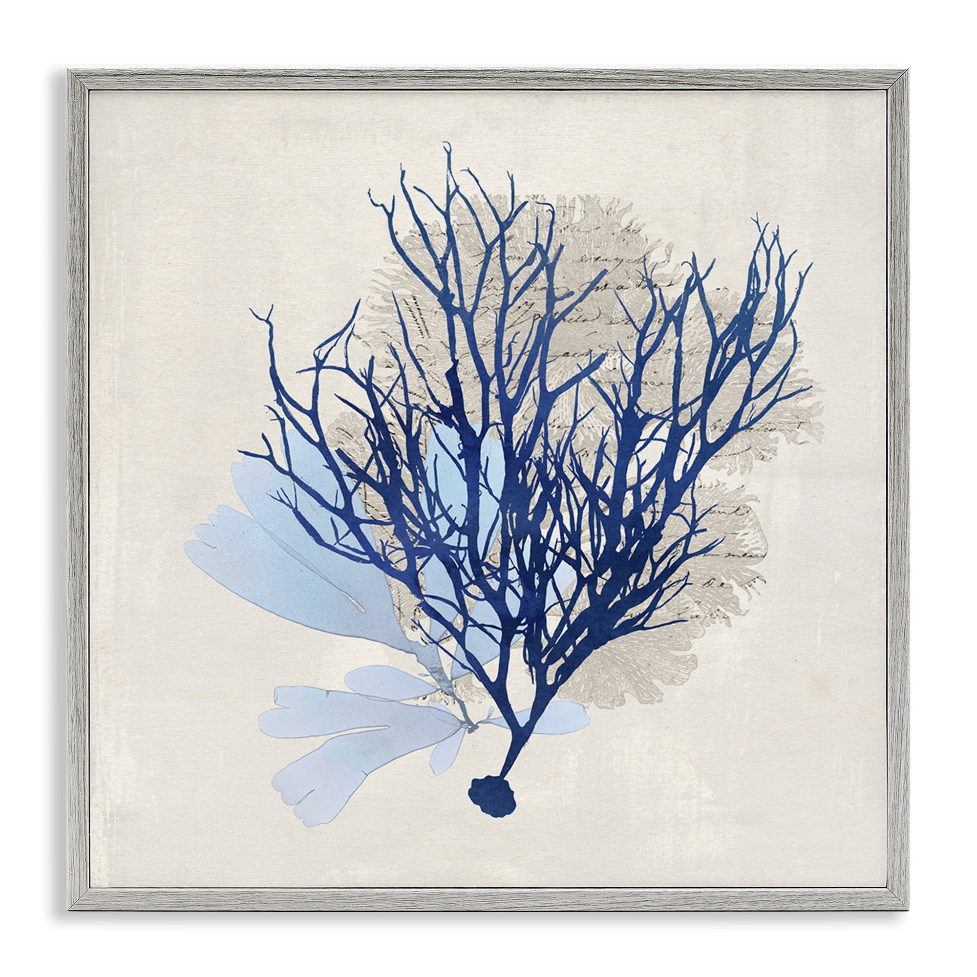 Stupell Industries Modern Coral Branch Nautical & Beach Painting Gray Framed Art Print Wall Art, 24 x 24