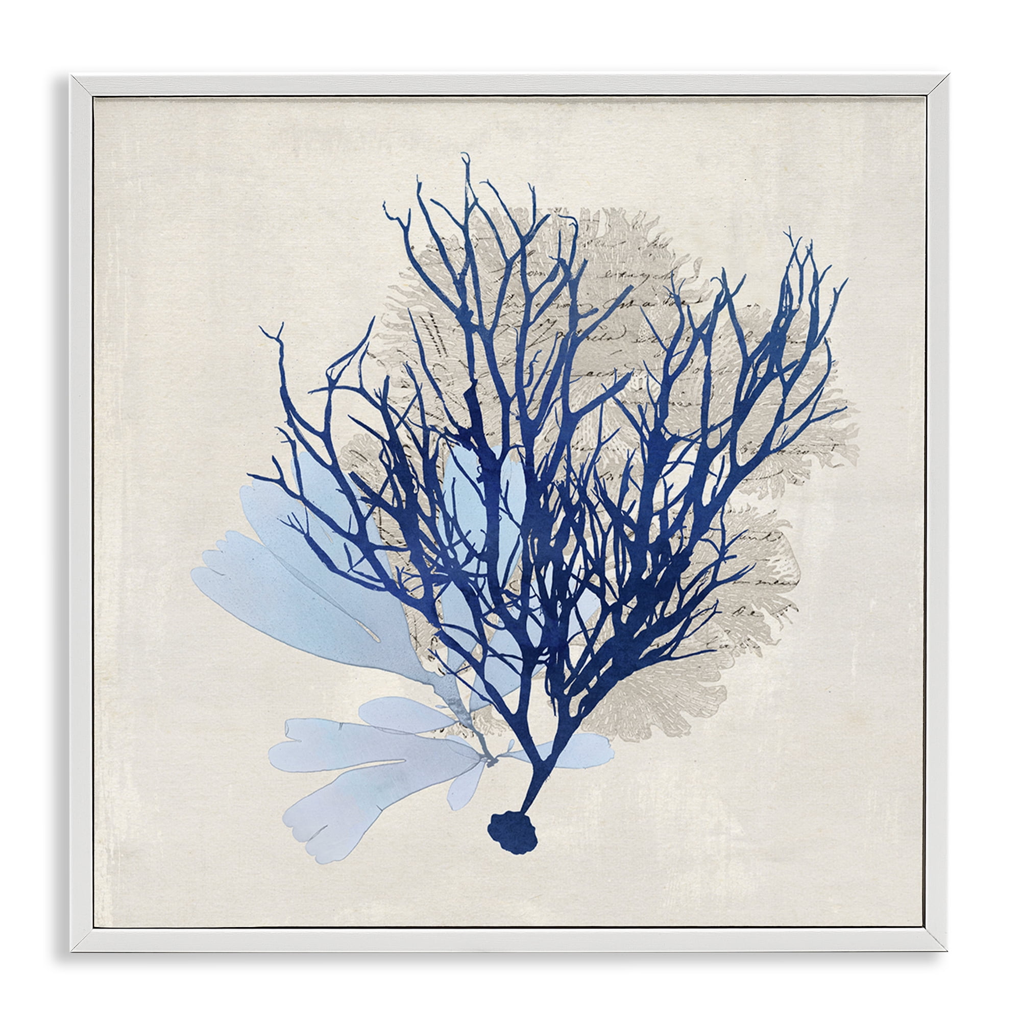 Stupell Industries Modern Coral Branch Nautical & Beach Painting White Framed Art Print Wall Art, 12 x 12