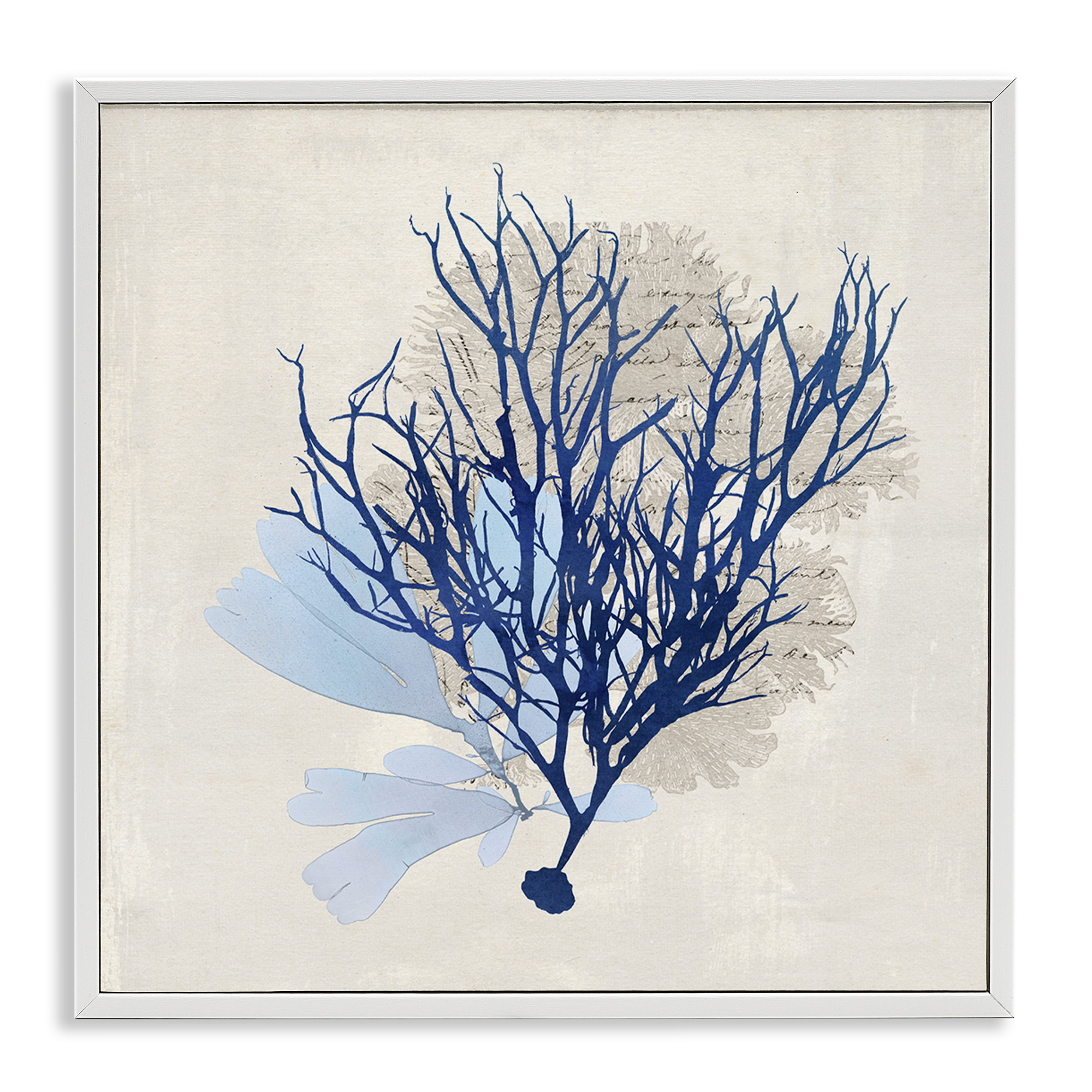 Stupell Industries Modern Coral Branch Nautical & Beach Painting White Framed Art Print Wall Art, 24 x 24