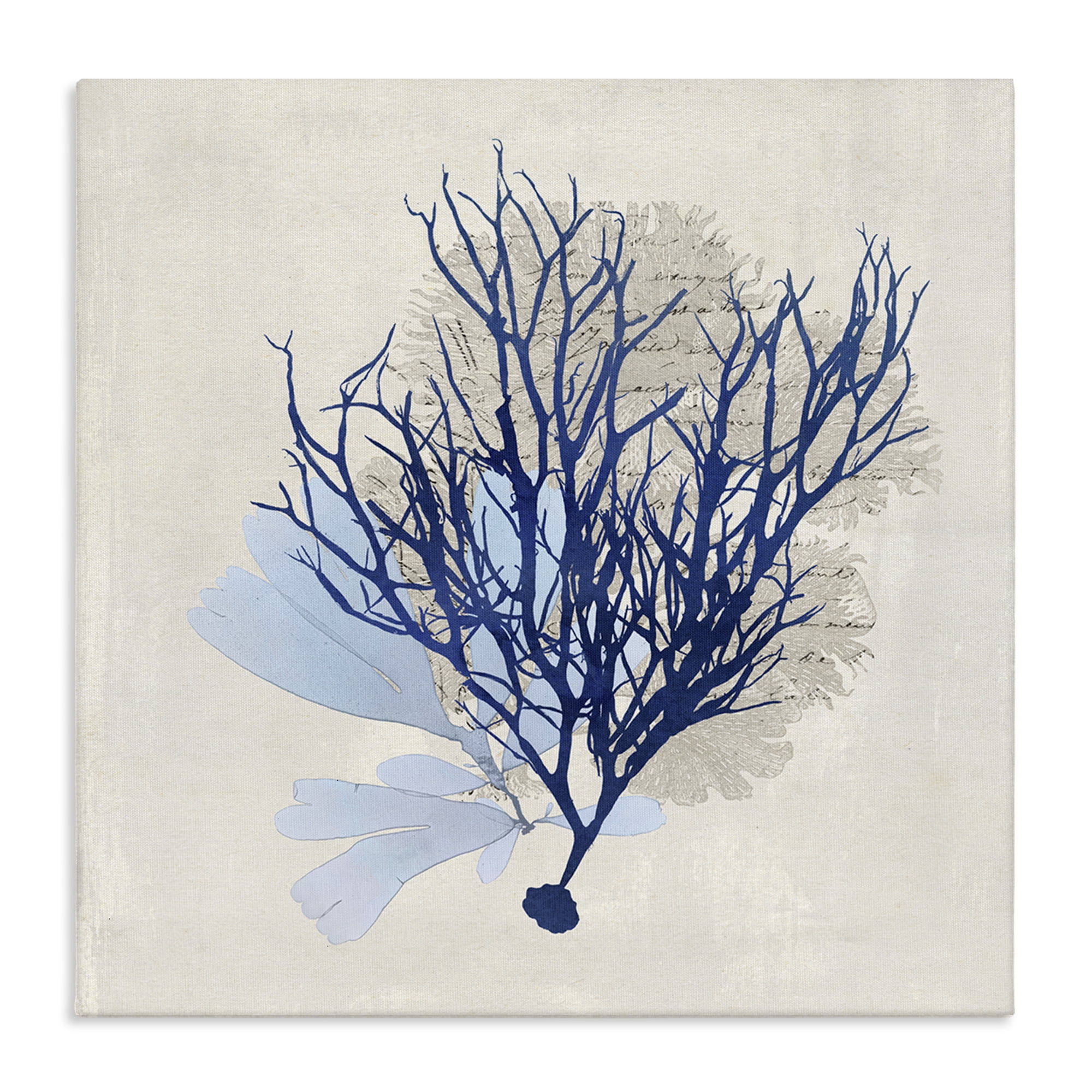 Stupell Industries Modern Coral Branch Nautical & Beach Painting Wrapped Canvas Art Print Wall Art, 36 x 36