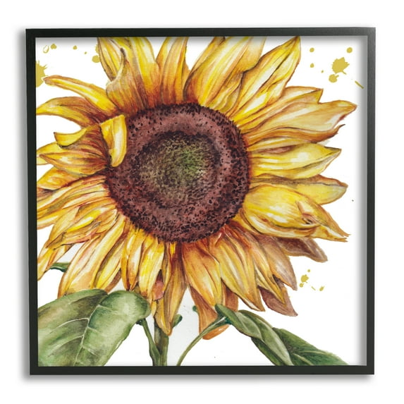 Stupell Industries Modern Country Sunflower Botanical & Floral Painting Black Framed Art Print Wall Art, 17 x 17