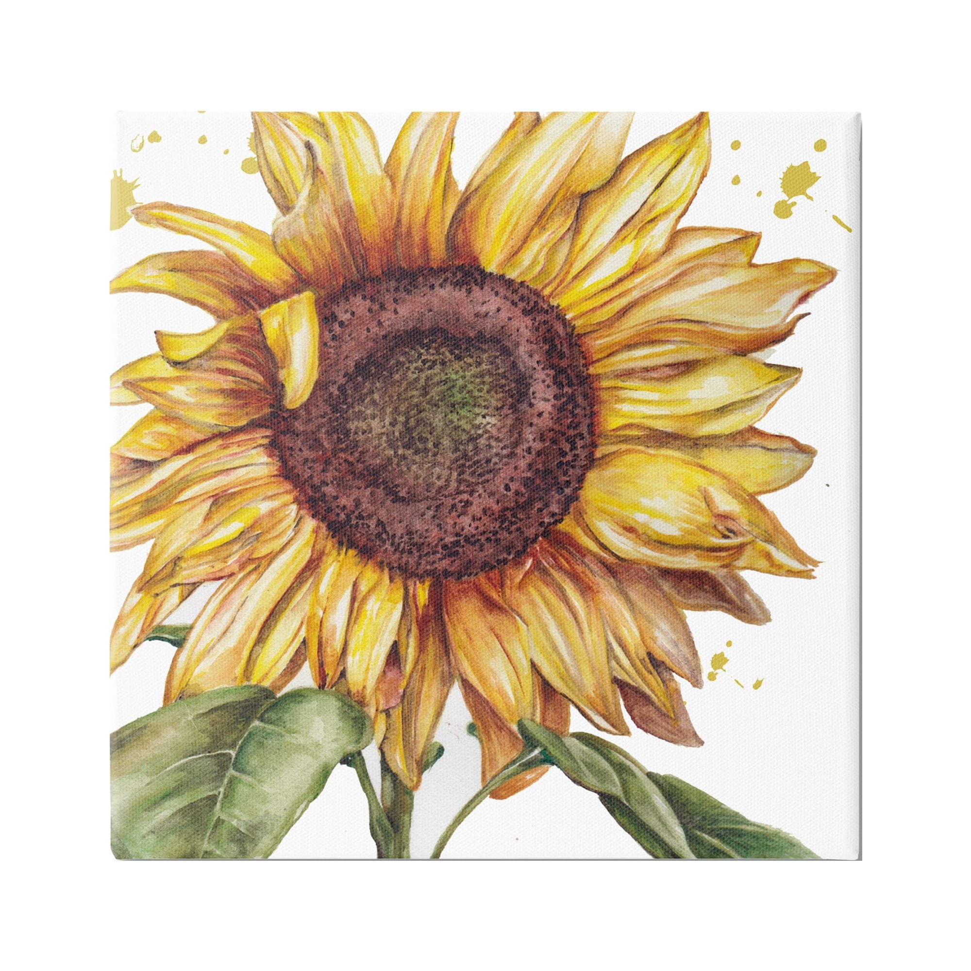 Stupell Industries Modern Country Sunflower Botanical & Floral Painting Gallery Wrapped Canvas Art Print Wall Art, 24 x 24
