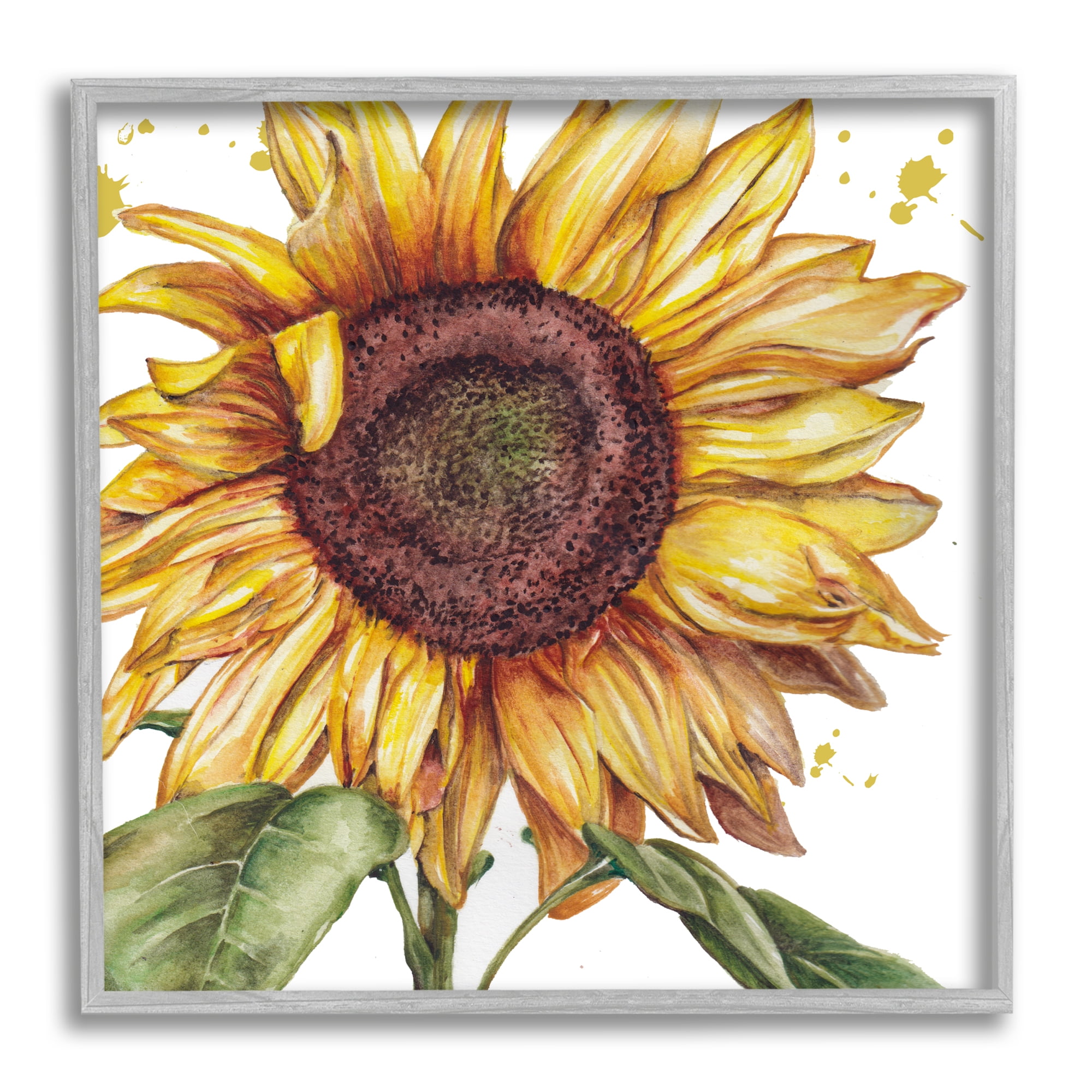 Stupell Industries Modern Country Sunflower Botanical & Floral Painting Gray Framed Art Print Wall Art, 12 x 12