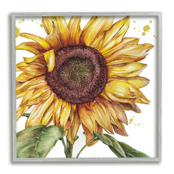 Stupell Industries Modern Country Sunflower Botanical & Floral Painting Gray Framed Art Print Wall Art, 17 x 17