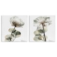 thumbnail image 1 of Stupell Industries Modern Cream Transparent Floral 2pc Canvas Art Set, 17 x 17 each, by Albert Koetsier, 1 of 7