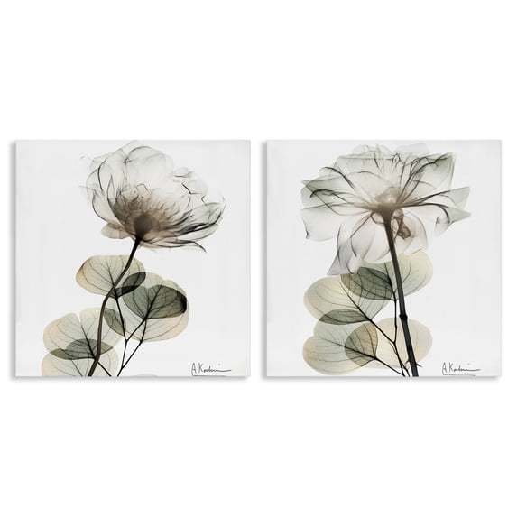 Stupell Industries Modern Cream Transparent Floral 2pc Canvas Art Set, 17 x 17 each, by Albert Koetsier