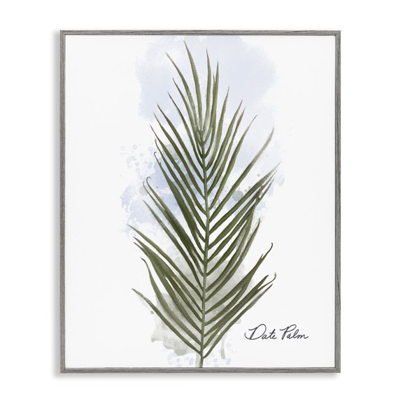 Stupell Industries Modern Date Palm Leaf Floral Painting Gray Framed Art Print Wall Art, 24 x 30