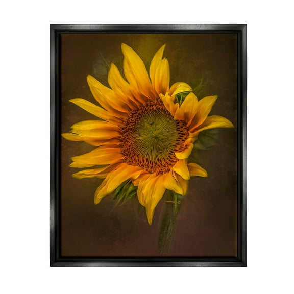 Stupell Industries Modern Detailed Sunflower Petals Botanical & Floral Painting Black Floater Framed Art Print Wall Art