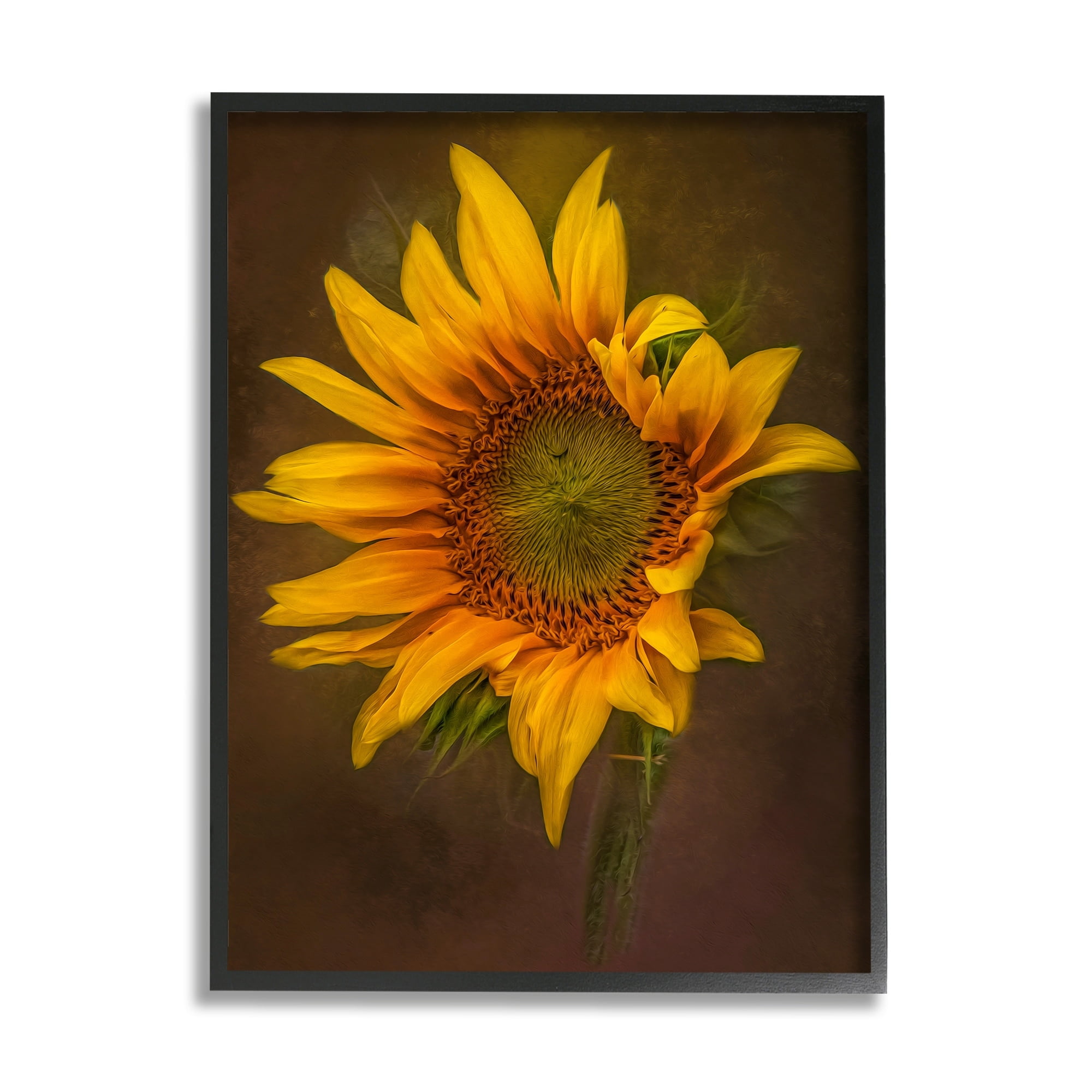 Stupell Industries Modern Detailed Sunflower Petals Botanical & Floral Painting Black Framed Art Print Wall Art