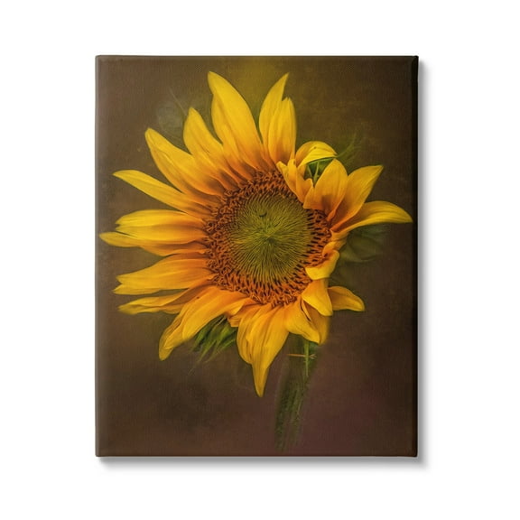 Stupell Industries Modern Detailed Sunflower Petals Botanical & Floral Painting Gallery Wrapped Canvas Print Wall Art
