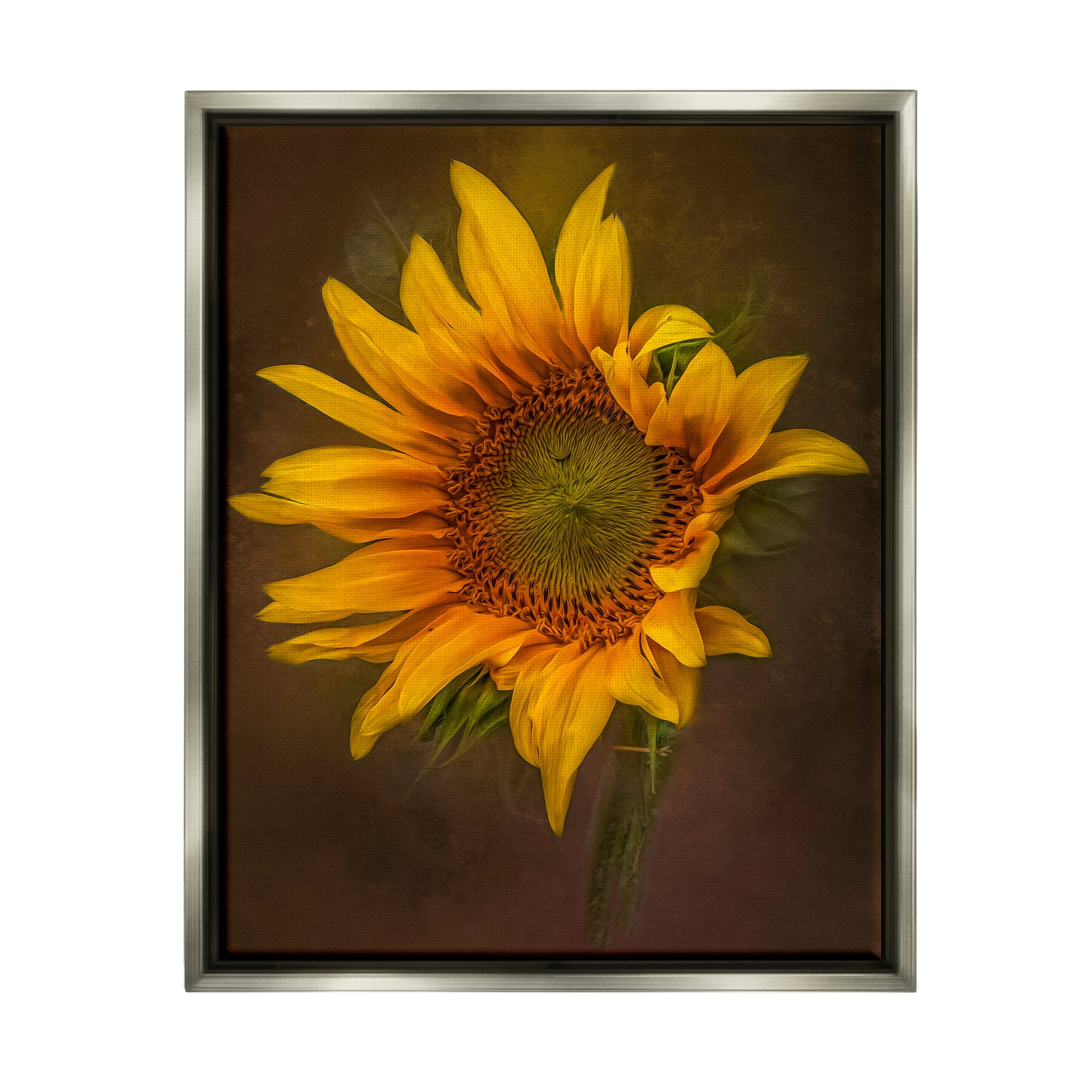 Stupell Industries Modern Detailed Sunflower Petals Botanical & Floral Painting Gray Floater Framed Art Print Wall Art