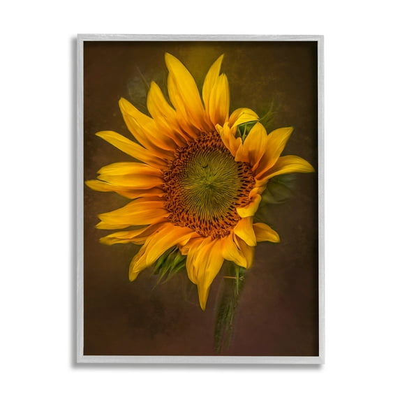 Stupell Industries Modern Detailed Sunflower Petals Botanical & Floral Painting Gray Framed Art Print Wall Art