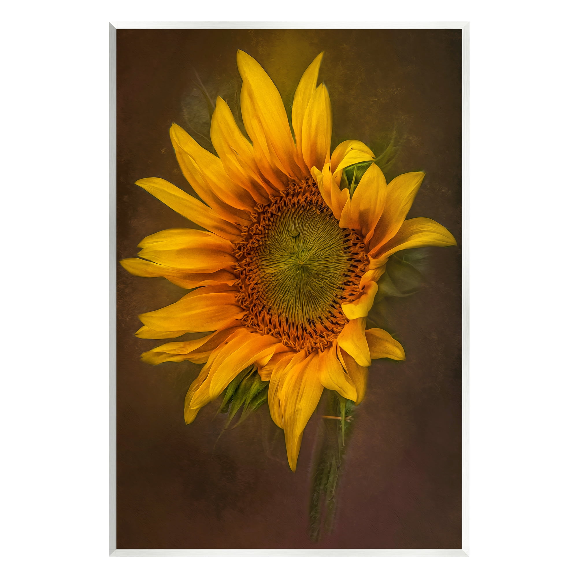 Stupell Industries Modern Detailed Sunflower Petals Botanical & Floral Painting Unframed Art Print Wall Art